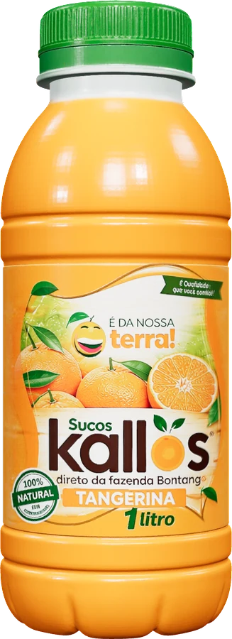 Garrafa de Suco Kallos de tangerina